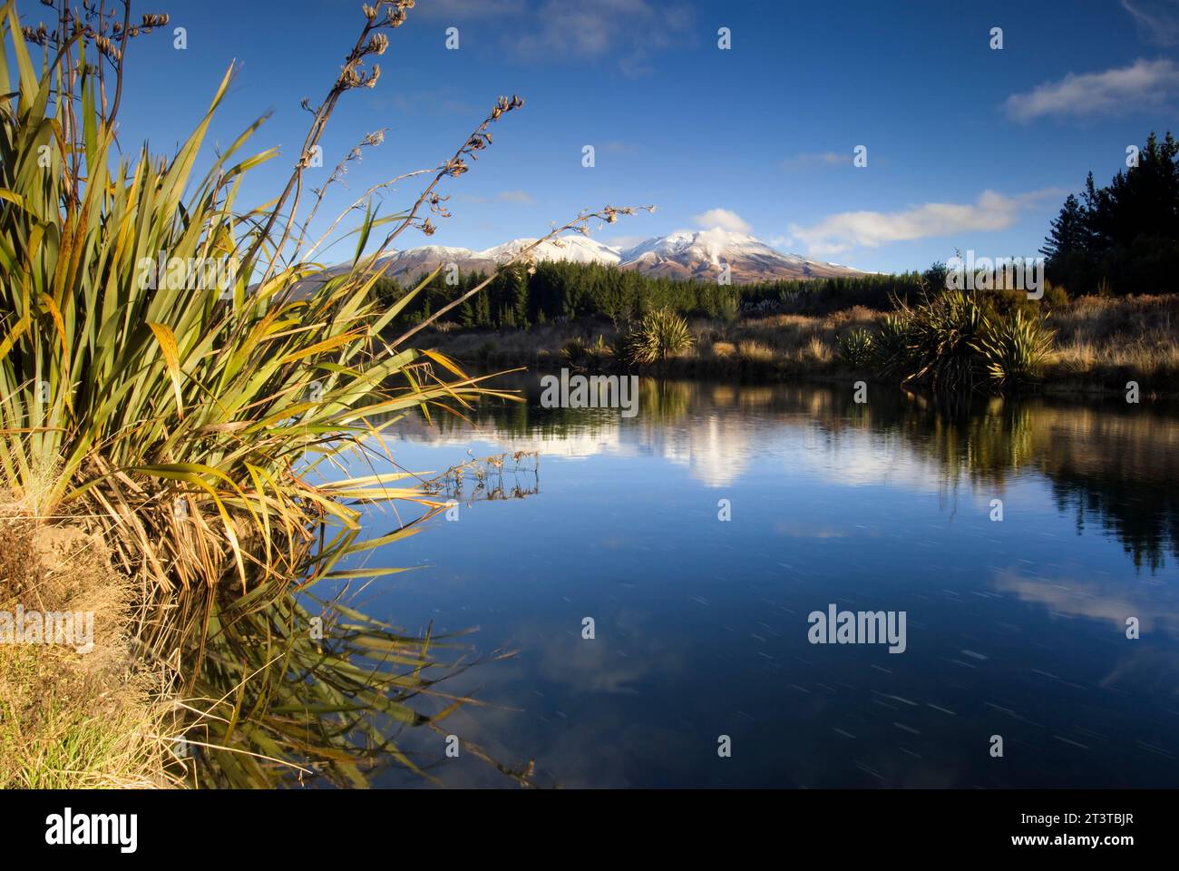 Vista dal lago Rotoaira del monte Tongariro e Monte Ngauruhoe. Parco nazionale del Tongariro. Central North Island, nuova Zelanda Foto Stock