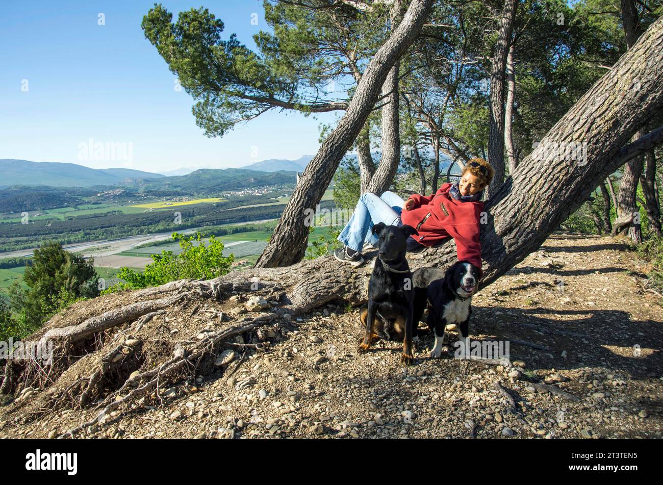 Donna di razza mista che riposa su un tronco inclinato mentre cammina i suoi cani in cima alle "Pénitents", formazioni rocciose alte 100 metri che si affacciano sul villaggio di Les Mées e sull'area circostante. Alpes de Haute Provence, Francia. Foto Stock