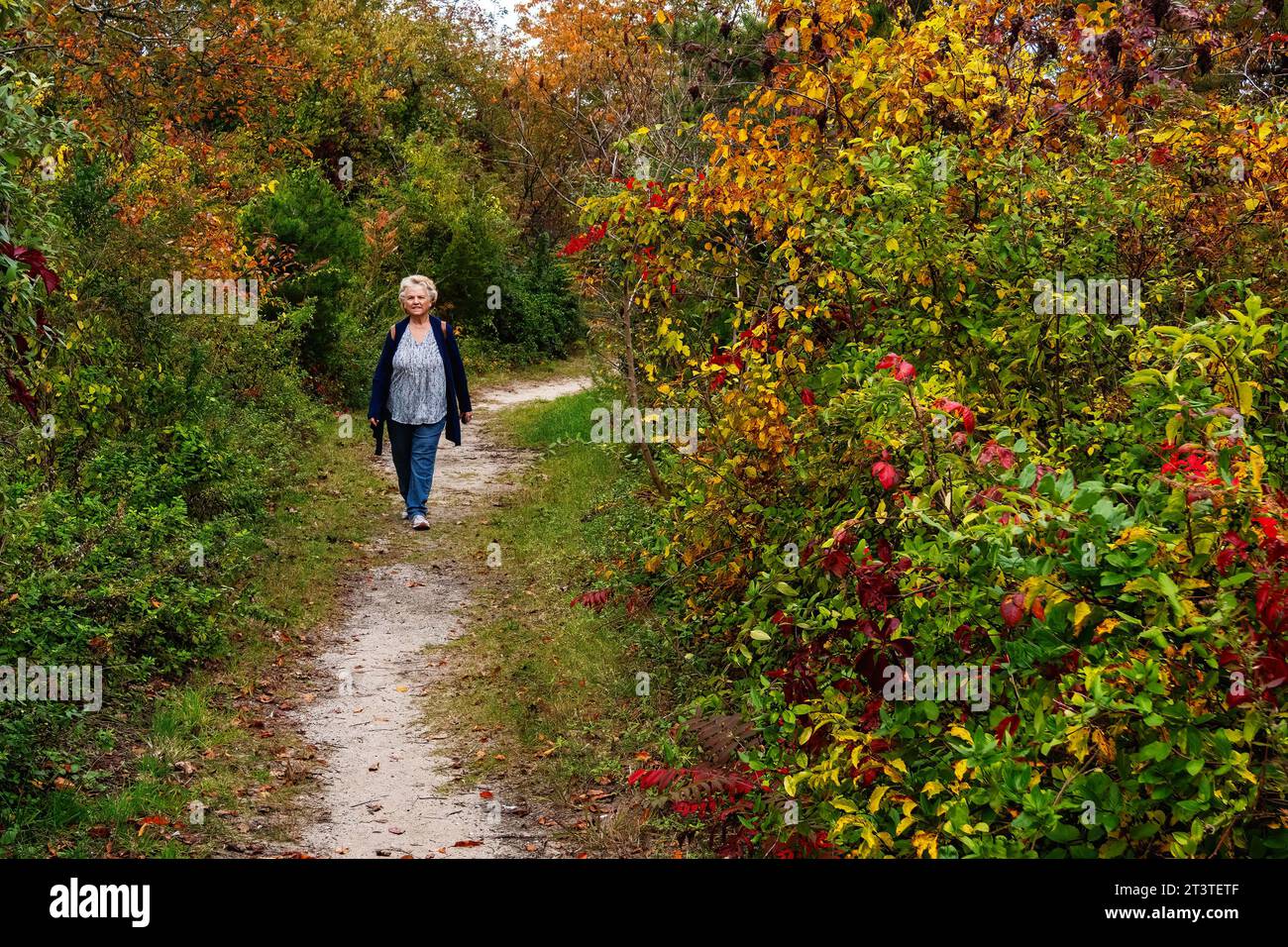 Visita al Jamaica Bay National Wildlife Refuge in autunno Foto Stock