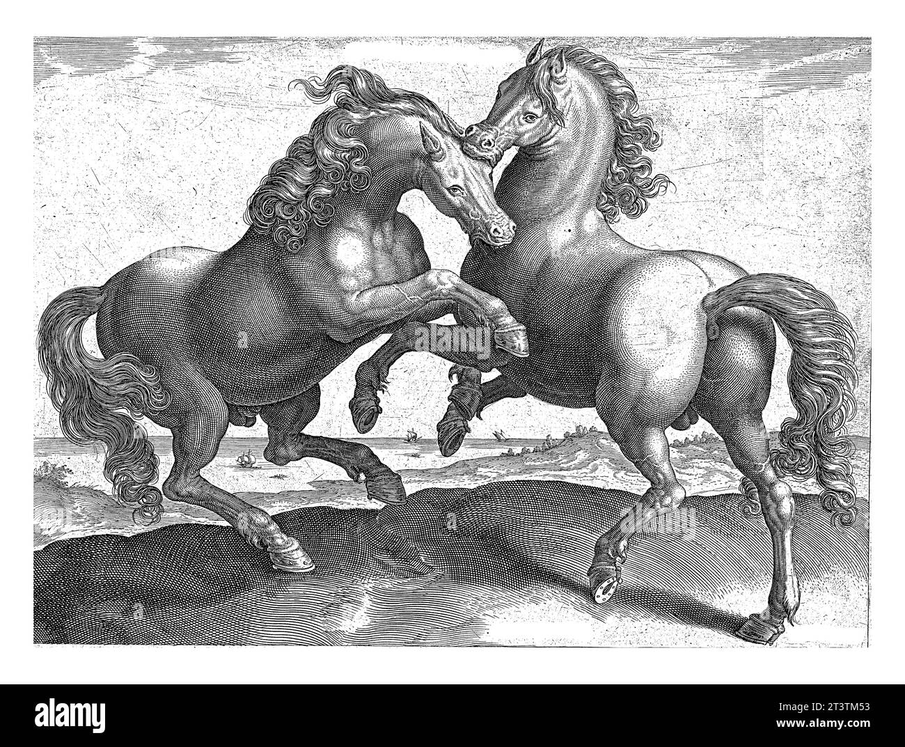 Cavalli da combattimento, Hieronymus Wierix (attribuito a), dopo Jan van der Straet, c. 1583 - c. 1587 due cavalli che combattevano. Uno dei cavalli morde l'altro Foto Stock