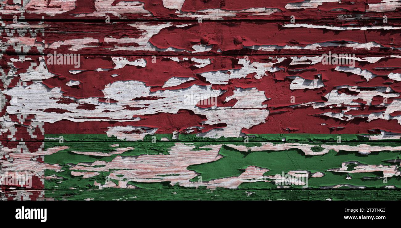Bandiera bielorussa dipinta su una tavola di legno grunge. Foto Stock