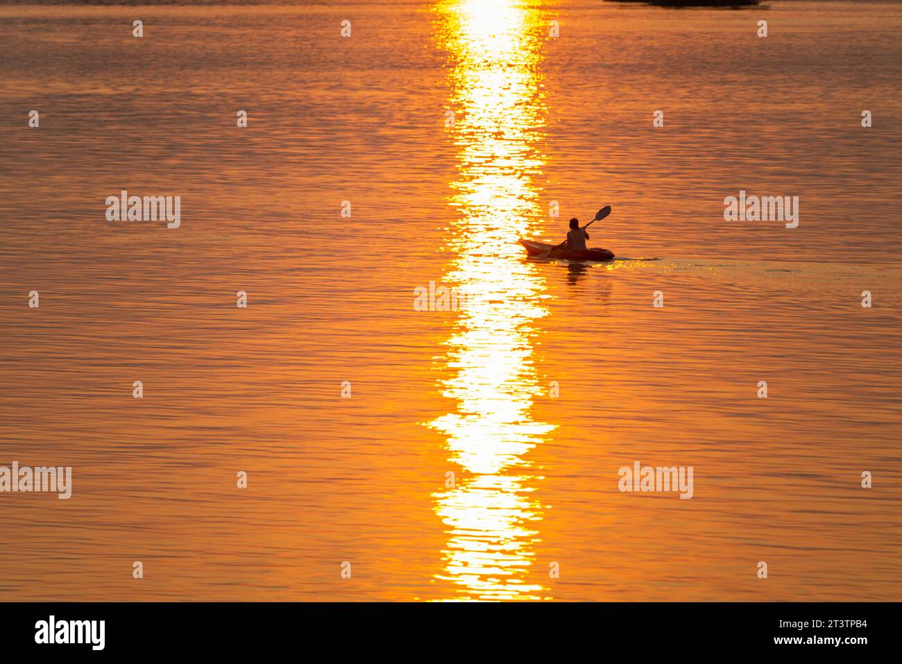 Silhouette di una persona in kayak, pagaiando lungo le calme acque del Mekong, nell'arcipelago si Phan Don, attraverso raggi di luce dorata riflessa Foto Stock