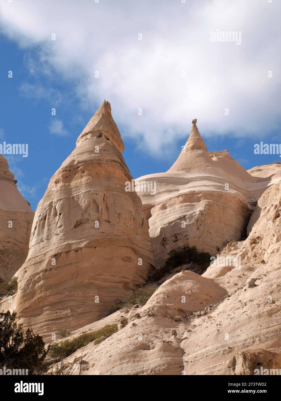 Hoodoos e guglie al Tent Rocks National Monument Foto Stock