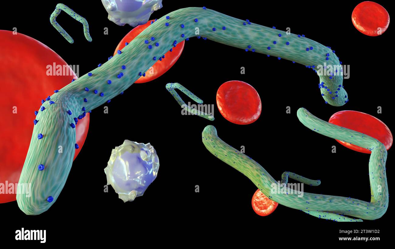 Rendering 3D di un virus Ebola all'interno di un corpo umano con globuli rossi e globuli bianchi sparsi Foto Stock