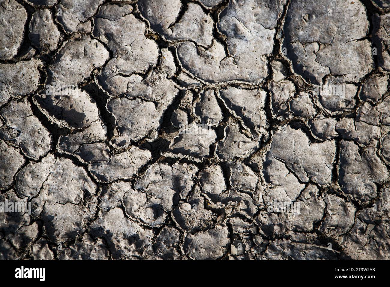 Struttura di terra asciutta Foto Stock