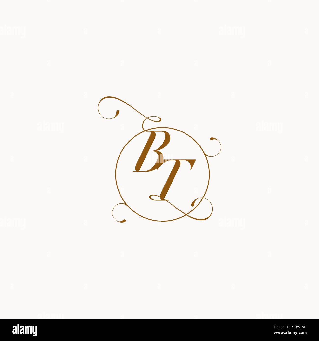 Il logo del matrimonio BT è il simbolo esclusivo del vostro matrimonio e potete usarlo sulla cancelleria del vostro matrimonio Illustrazione Vettoriale