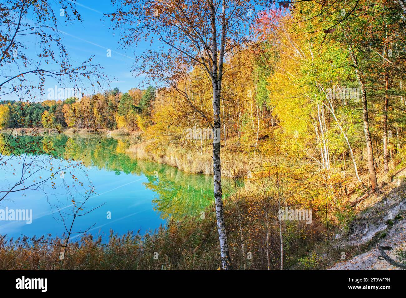 Autunno foresta sul lago, estate indiana Foto Stock