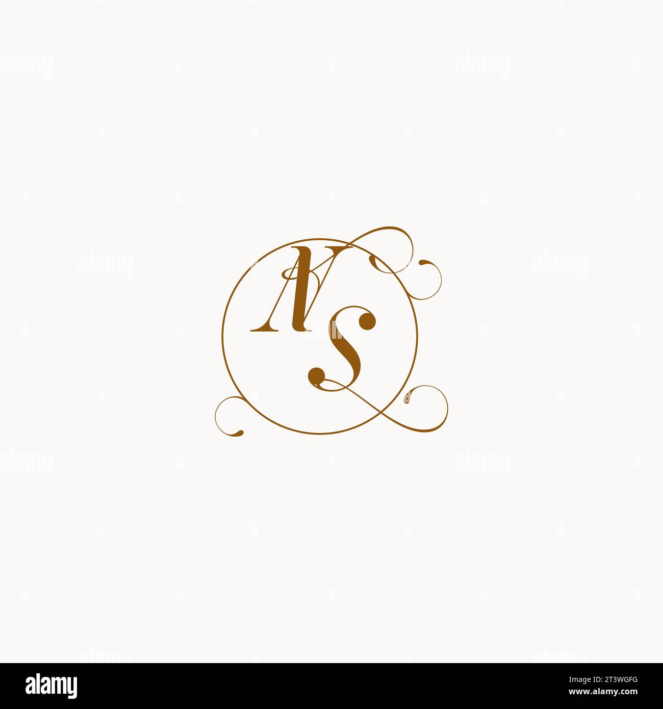 NS esclusivo logo nuziale simbolo del vostro matrimonio e potete usarlo sulla cancelleria del vostro matrimonio Illustrazione Vettoriale
