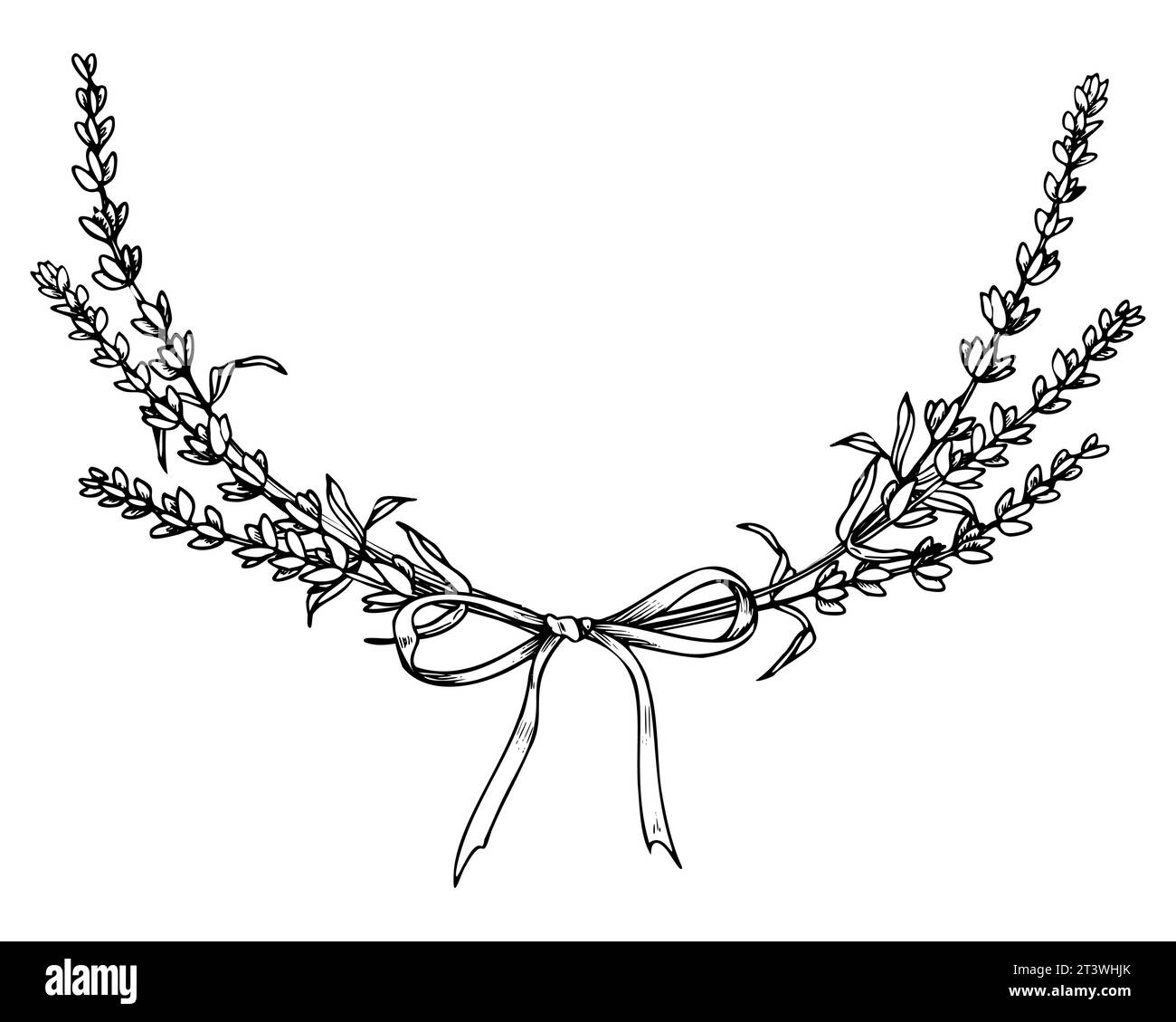 Lavender Wreath. Illustrazione lineare vettoriale disegnata a mano di una cornice floreale con nastro in bianco e nero per biglietti di auguri o inviti di nozze. Modello inciso per cartoline o logo. Illustrazione Vettoriale