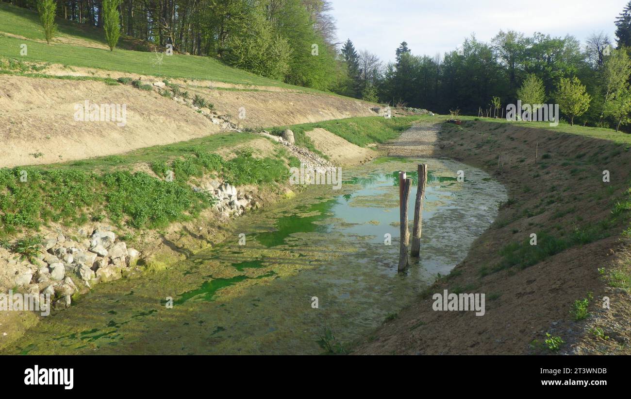 Costruzione di laghetti per la progettazione di giardini acquatici stagno e paesaggio naturale credito: Imago/Alamy Live News Foto Stock