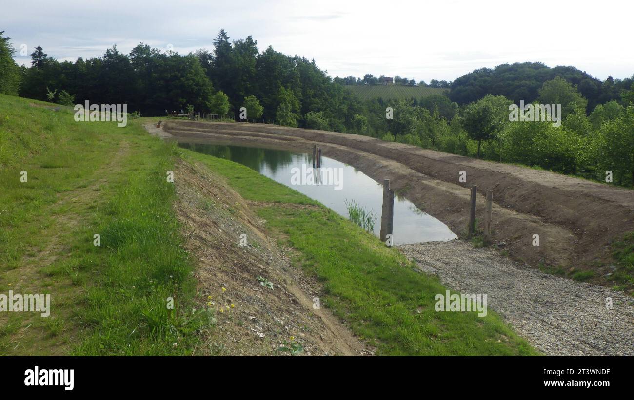 Costruzione di laghetti per la progettazione di giardini acquatici stagno e paesaggio naturale credito: Imago/Alamy Live News Foto Stock