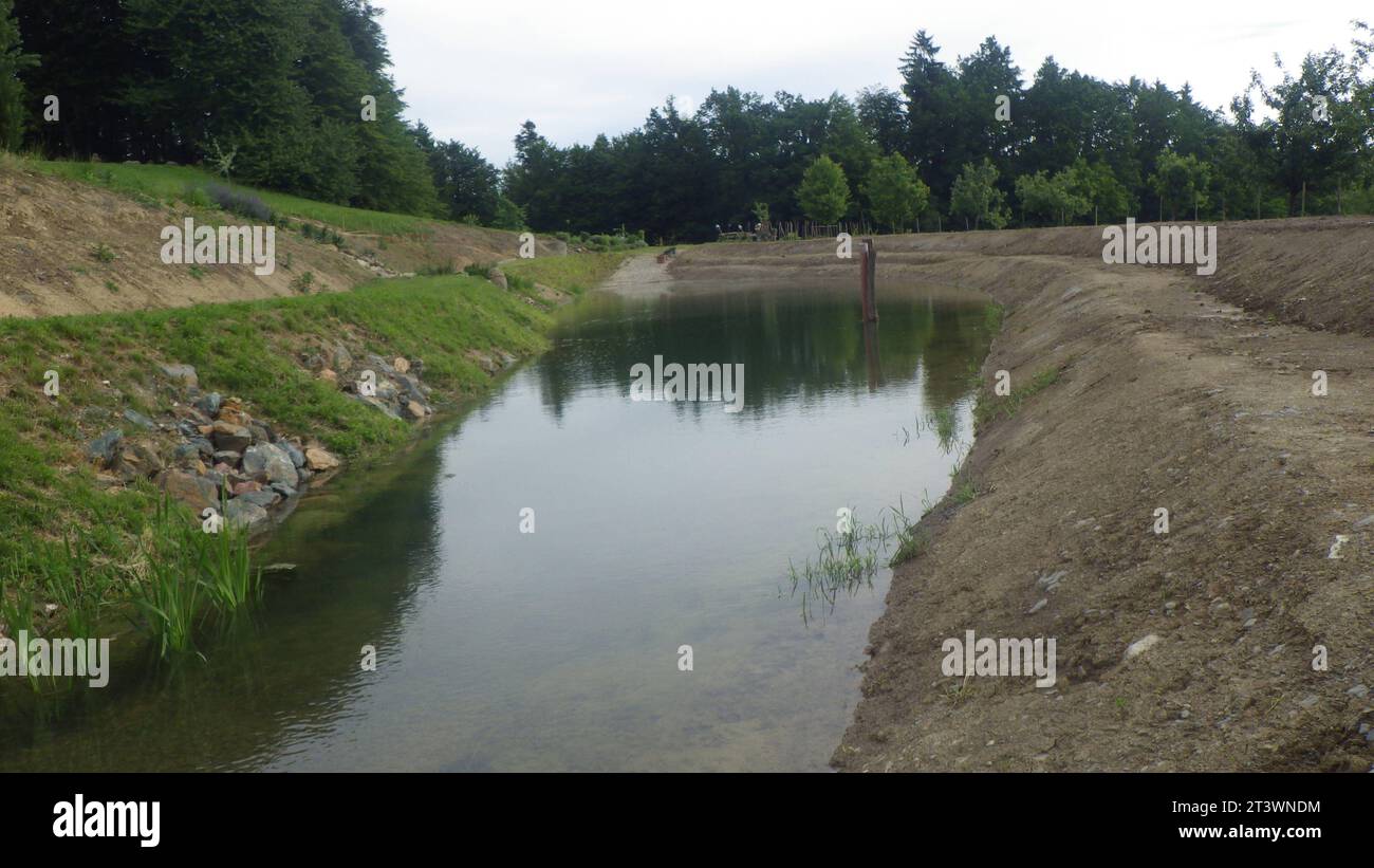 Costruzione di laghetti per la progettazione di giardini acquatici stagno e paesaggio naturale credito: Imago/Alamy Live News Foto Stock