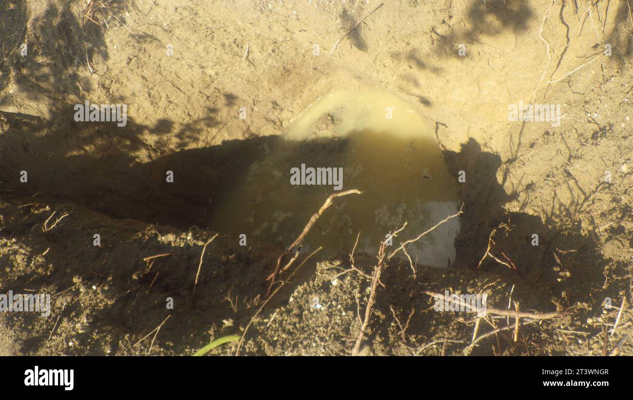 Costruzione di laghetti per la progettazione di giardini acquatici stagno e paesaggio naturale credito: Imago/Alamy Live News Foto Stock