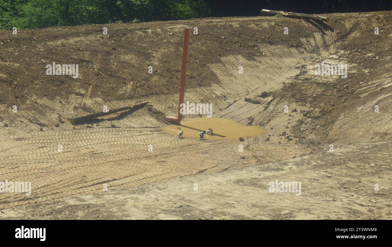 Costruzione di laghetti per la progettazione di giardini acquatici stagno e paesaggio naturale credito: Imago/Alamy Live News Foto Stock