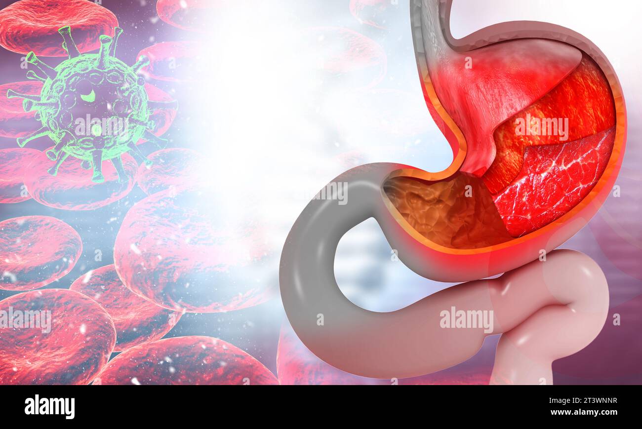 Anatomia dello stomaco umano su sfondo scientifico. illustrazione 3d. Foto Stock
