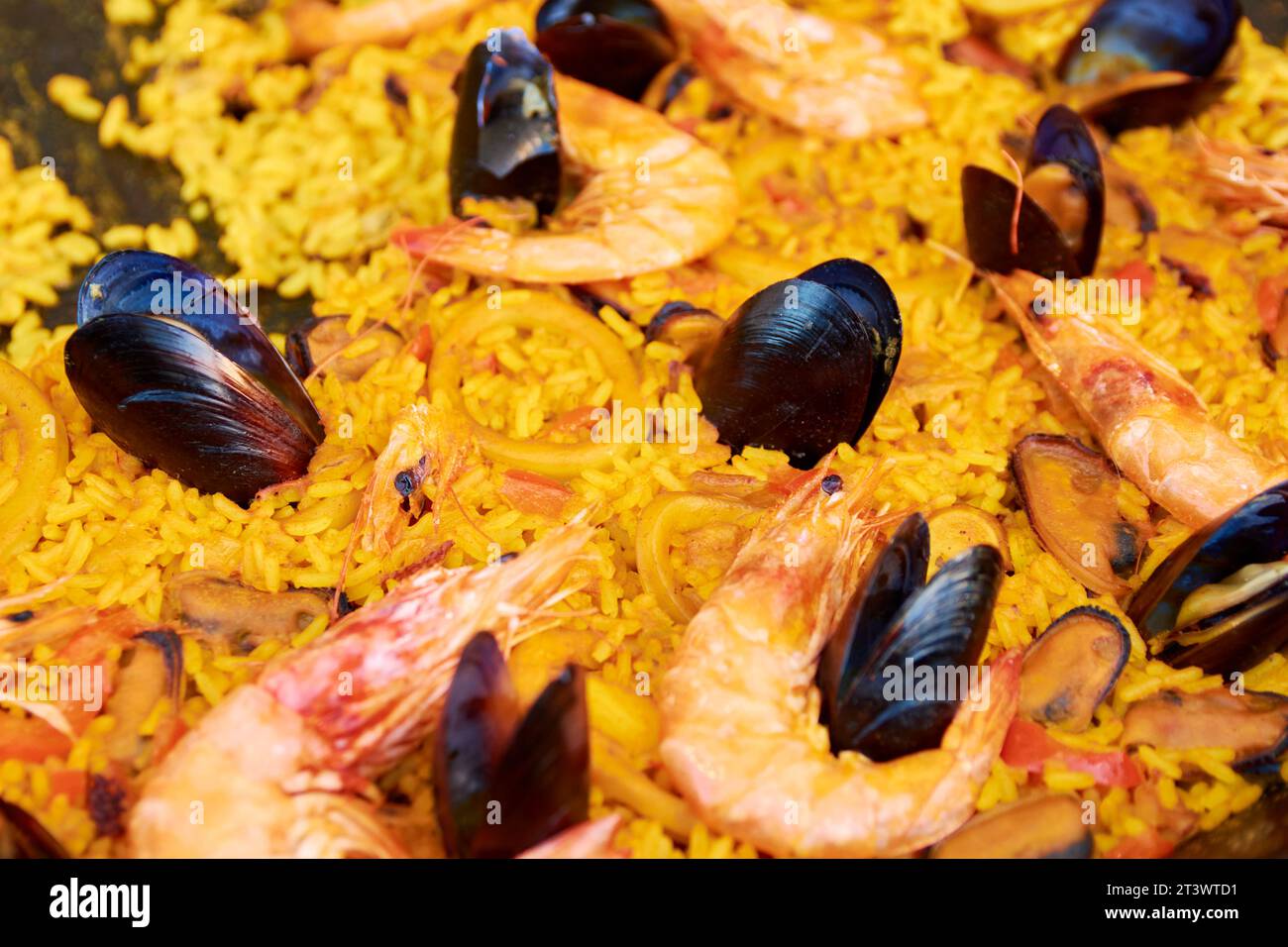 paella con vongole e gamberetti di mare Foto Stock