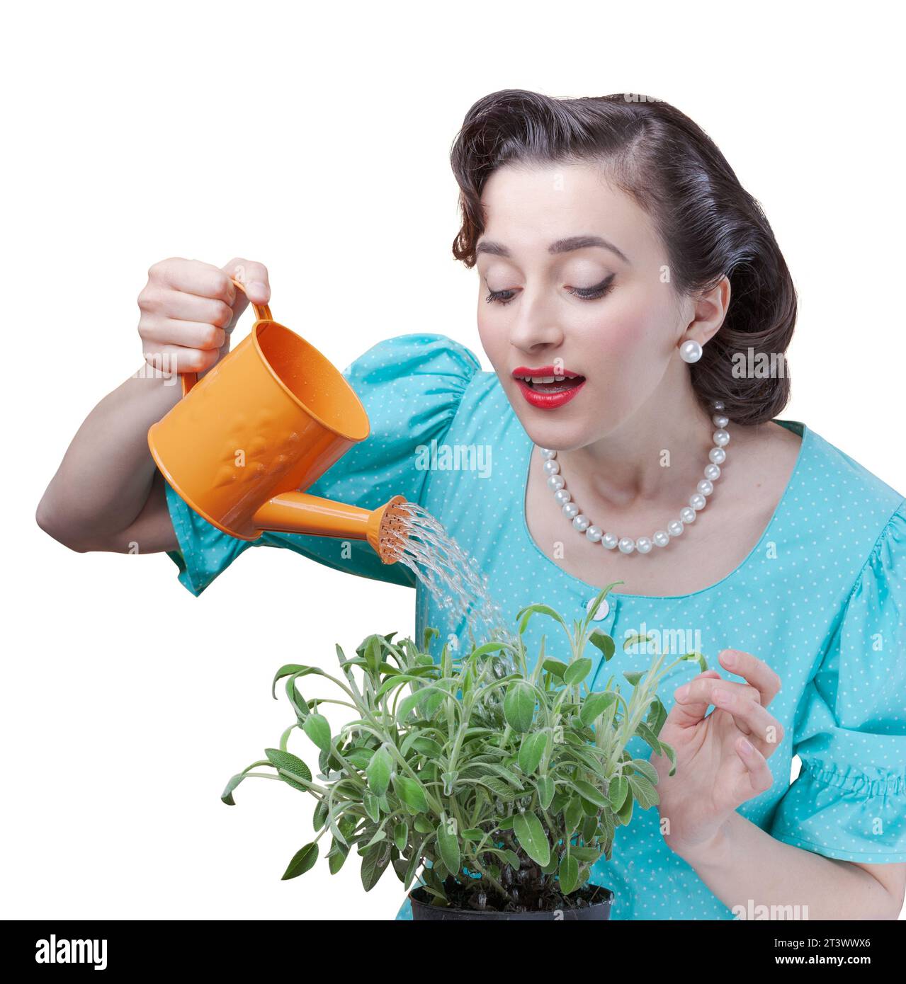 Donna in stile retrò che annaffiano le piante a casa utilizzando una piccola lattina da irrigazione, giardinaggio e concetto di casa Foto Stock
