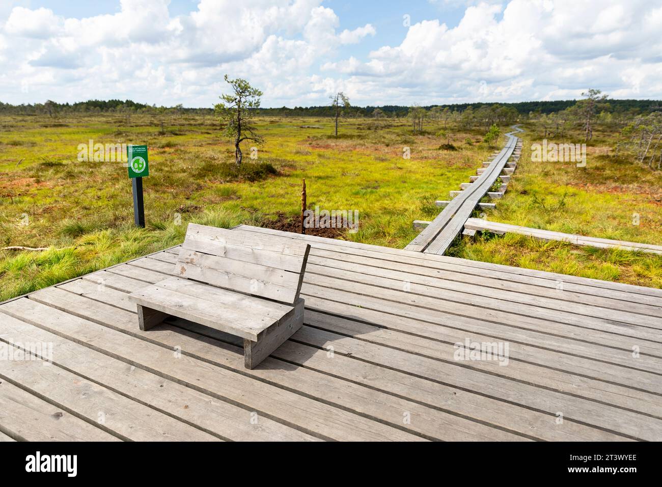 Splendida panca in legno nella palude di Kakerdaja, sentiero escursionistico circondato da piccoli stagni in una splendida giornata estiva soleggiata in Estonia, Foto Stock