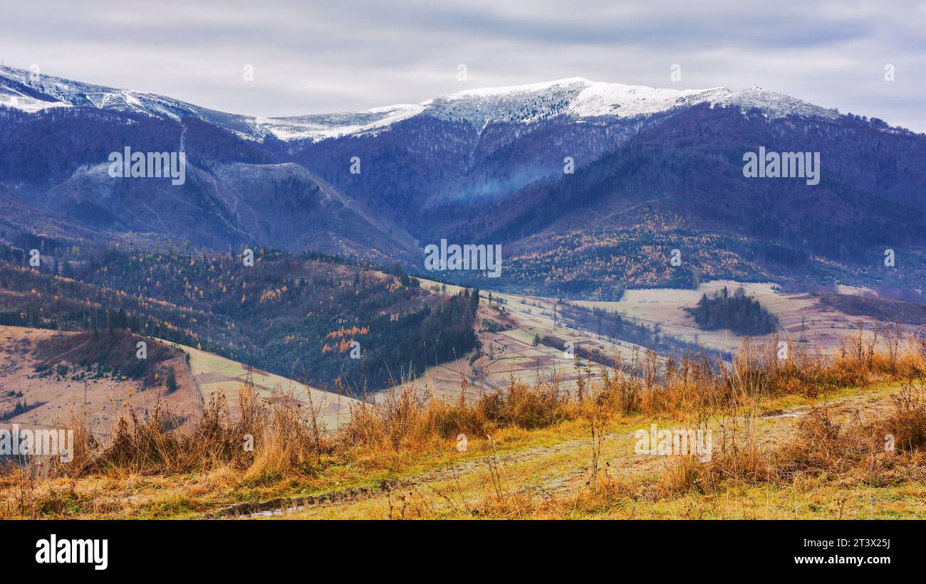 paesaggio di campagna con cime innevate in lontananza. scenario cupo della cresta borzhava con cielo coperto nel tardo autunno Foto Stock