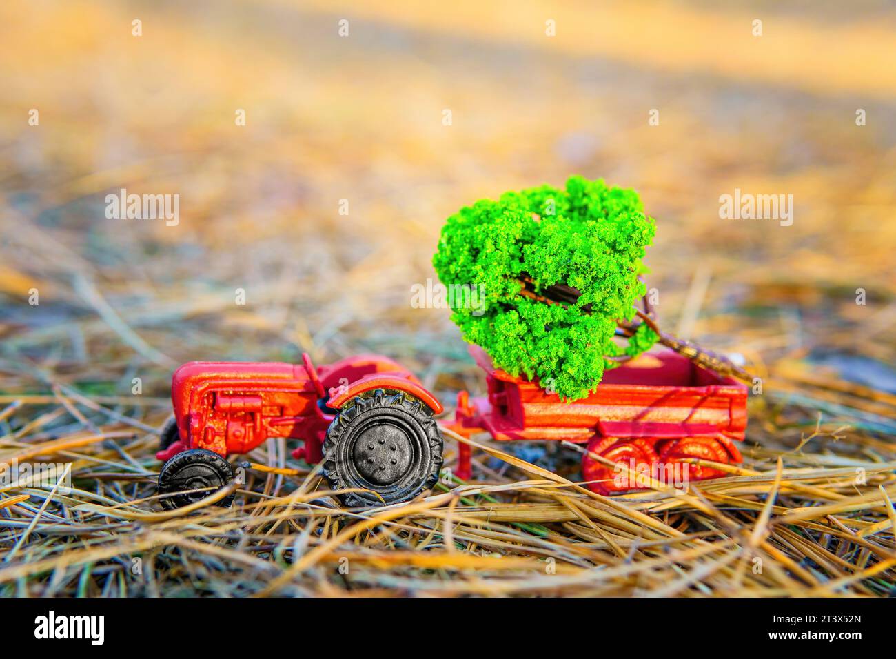 Un trattore giocattolo in miniatura trasporta un piccolo albero abbattuto nel suo letto mentre naviga attraverso la foresta. Foto Stock