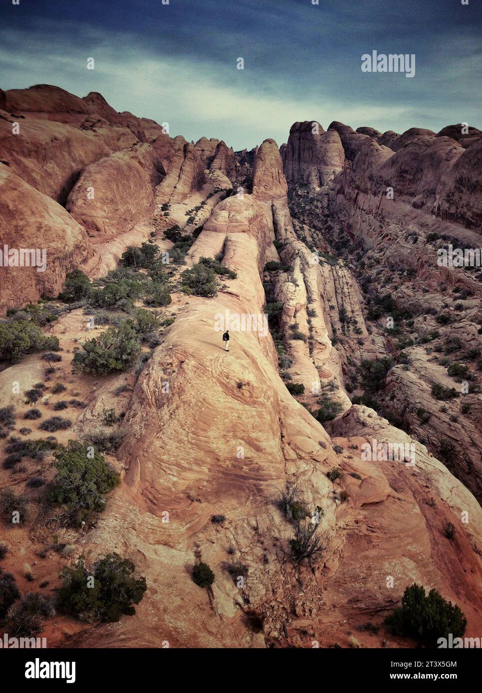 Una persona in piedi su una pinna di roccia in un suggestivo paesaggio desertico vicino a Moab, Utah. NOTA: Questa immagine fa parte della collezione di immagini myPhone di Aurora scattate con uno sviluppatore mobile Foto Stock