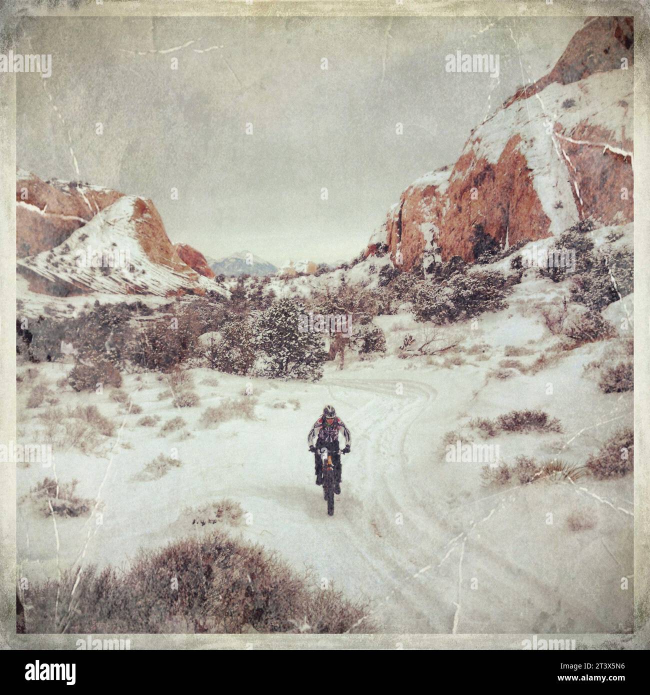 Cullen Barker fa un giro in bicicletta sulla neve vicino a Moab, Utah. Scattata con iPhone.NOTA: Questa immagine fa parte della raccolta myPhone di Aurora di immagini scattate con un dispositivo mobile Foto Stock