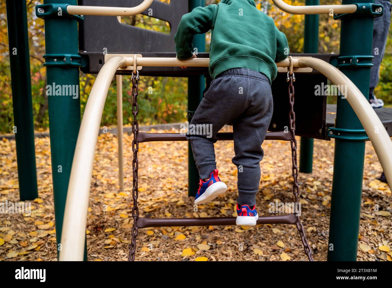 Bambino piccolo che sale sulla scala a catena nel parco giochi in autunno Foto Stock