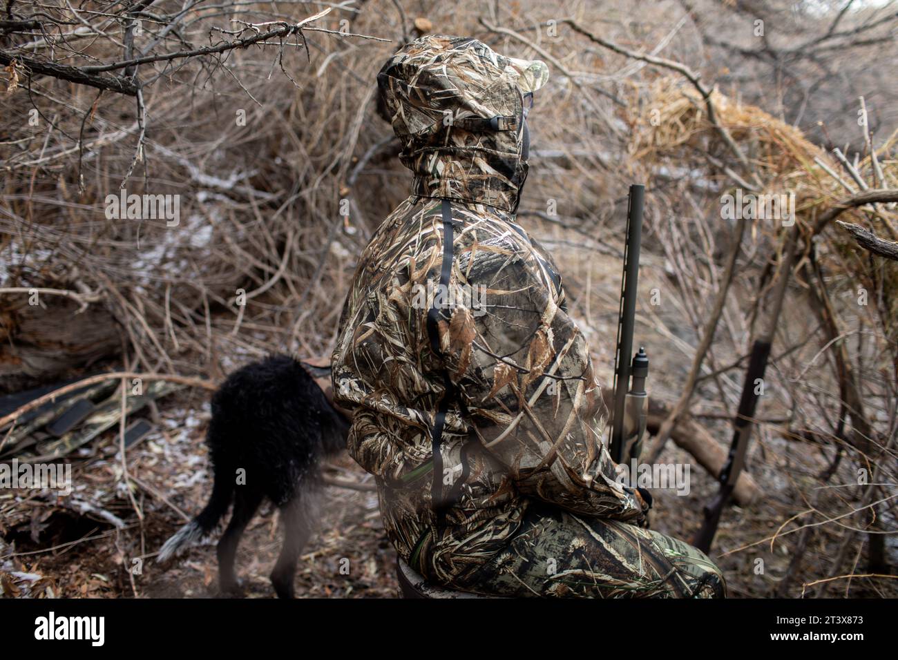 Cacciatore e cane in anatra cieca attendono uccelli acquatici nell'Upper Mississippi Foto Stock