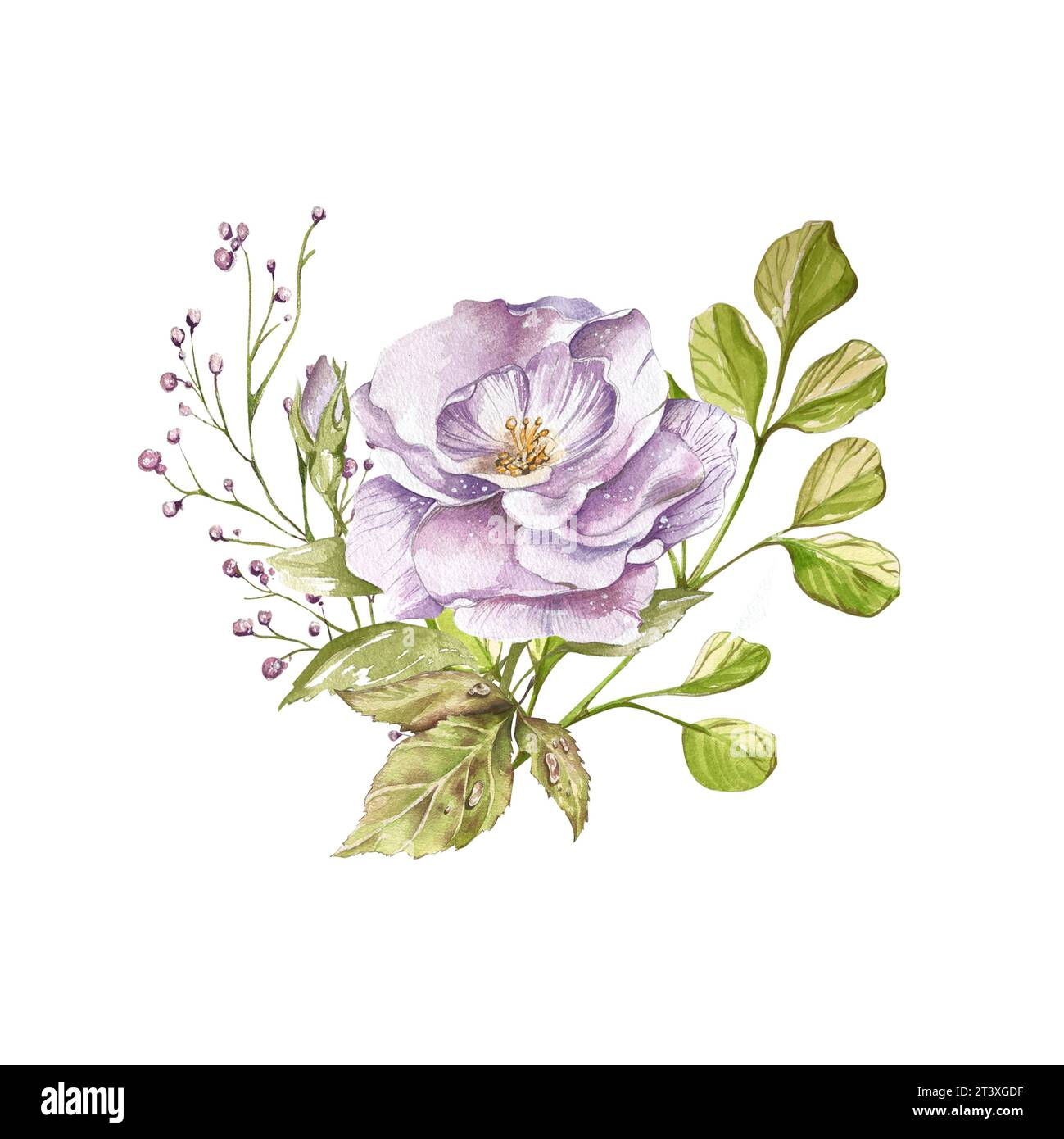 Composizione con fiori selvatici astratti. favolosa insolita luminosa. per cartoline, inviti, design Foto Stock