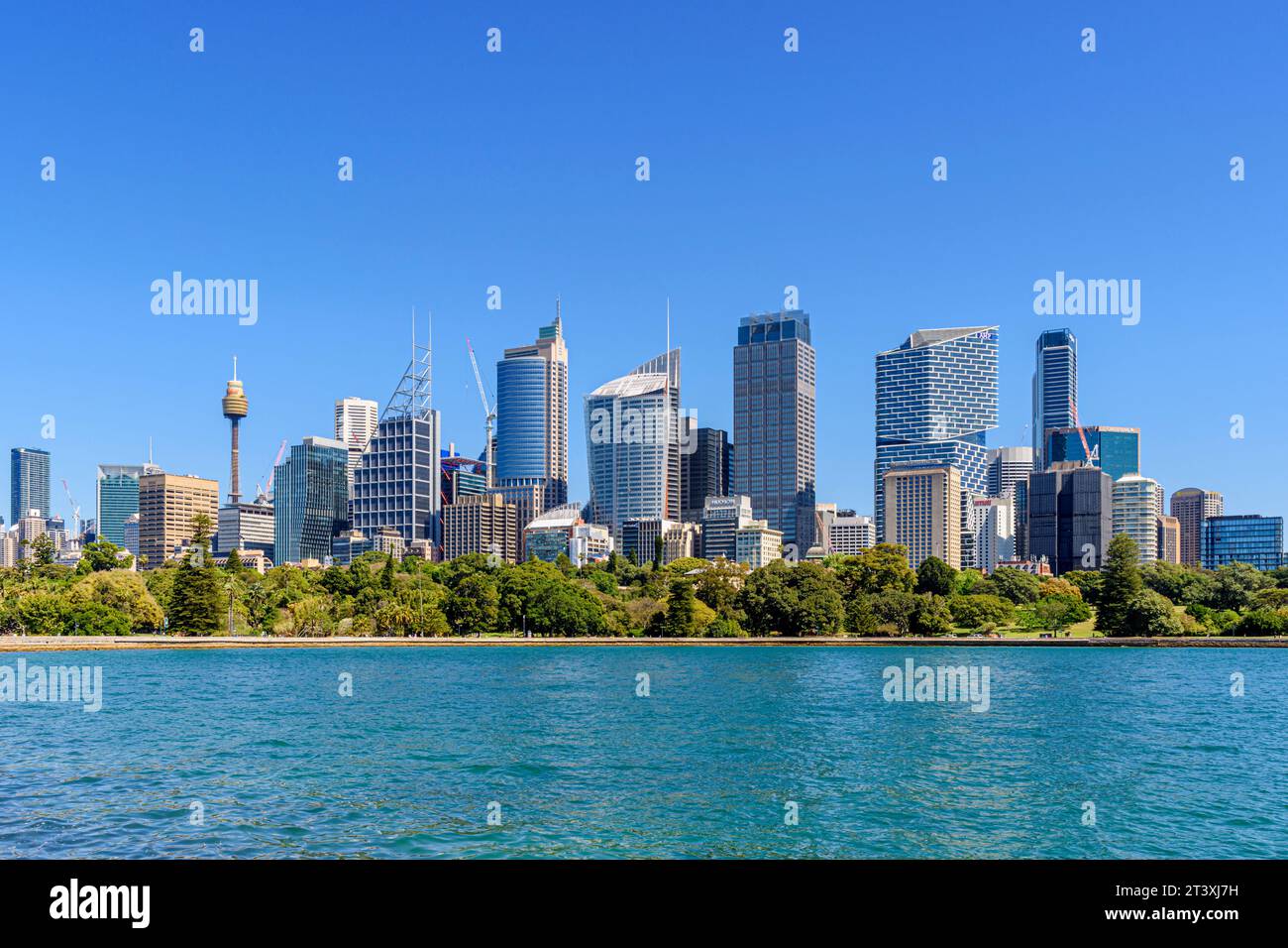 Vista della città sul Royal Botanic Garden Sydney e sulle acque calme di Farm Cove, Sydney, NSW, Australia Foto Stock