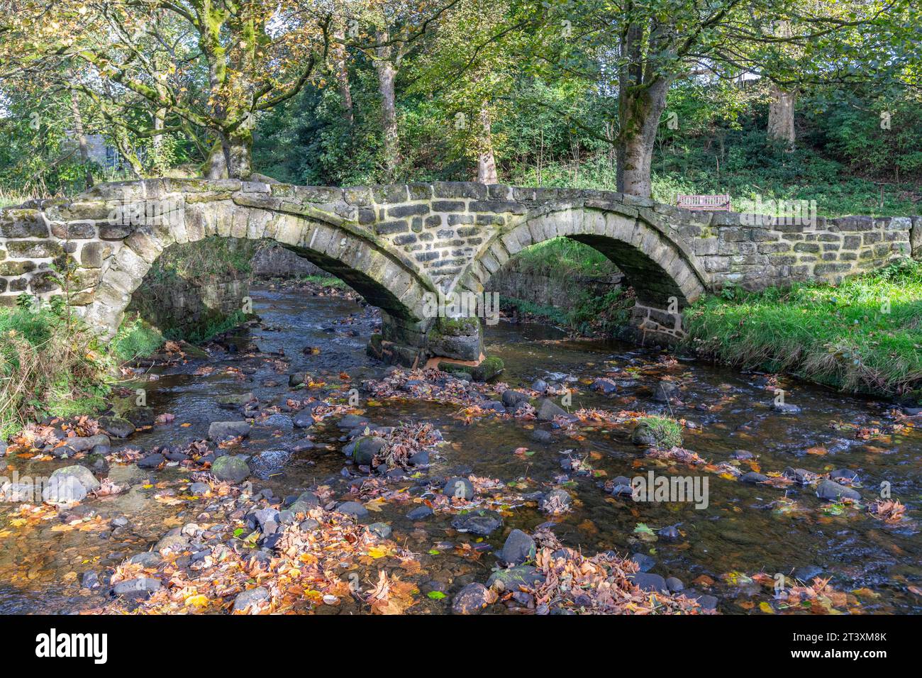 Il famoso ponte a cavallo è una struttura a due archi che abbraccia Wycoller beck. A volte è chiamato Ponte di Sally dopo una della famiglia Cunliffe Foto Stock