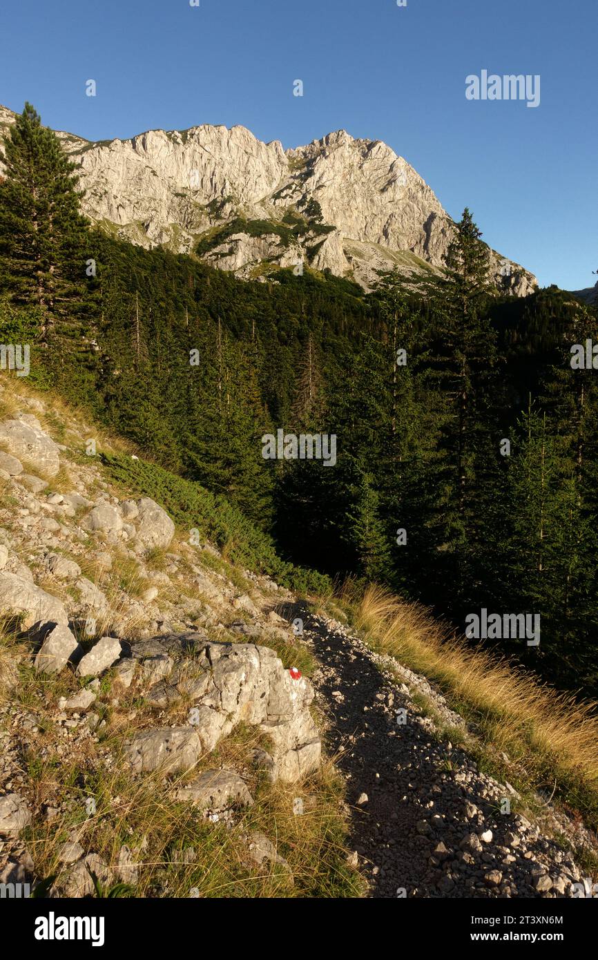 Paesaggio montano con percorso attraverso la foresta alla luce e all'ombra dell'ora d'oro nel Parco nazionale di Sutjeska, Bosnia ed Erzegovina Foto Stock