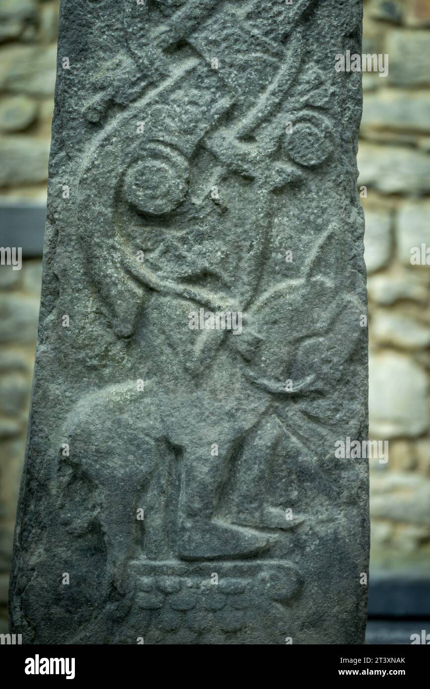 Asino e cavaliere seduti lateralmente, Kilfenora Medieval Cathedral (Saint Fachtnanrsquo), Doorty Cross, The Burren, County Clare, Irlanda, Regno Unito. Foto Stock