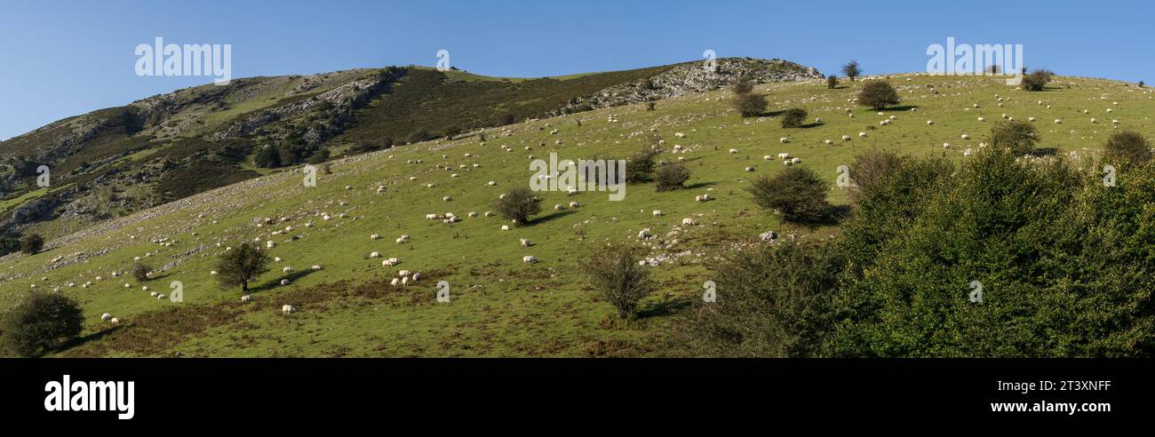 Sentiero GR 20 - percorso circolare per Aralar, parco naturale Aralar, Guipuzcoa-Navarra, Spagna. Foto Stock