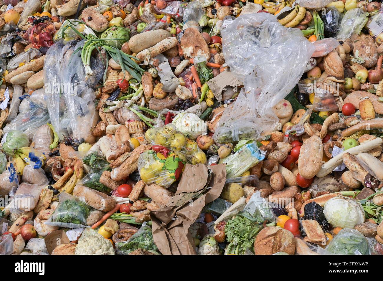 SERBIA, rifiuti alimentari da supermercato / SERBIEN, Lebensmittel Abfälle von Supermärkten Foto Stock