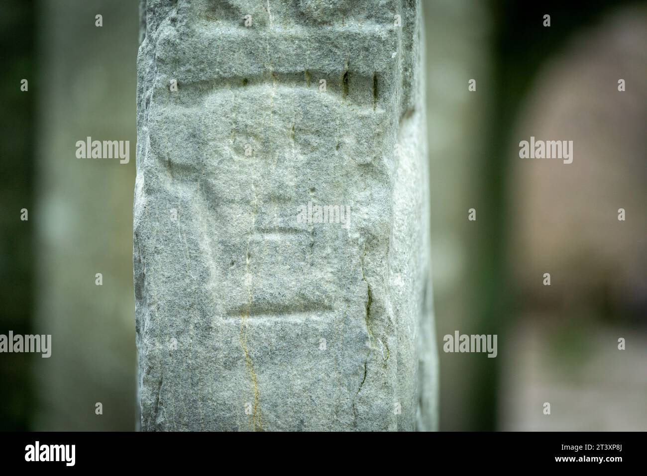 Testa scolpita in bassorilievo con orecchie sporgenti, Kilfenora Medieval Cathedral (Saint Fachtnanrsquo), Doorty Cross, The Burren, County Clare, Irlanda, Regno Unito. Foto Stock