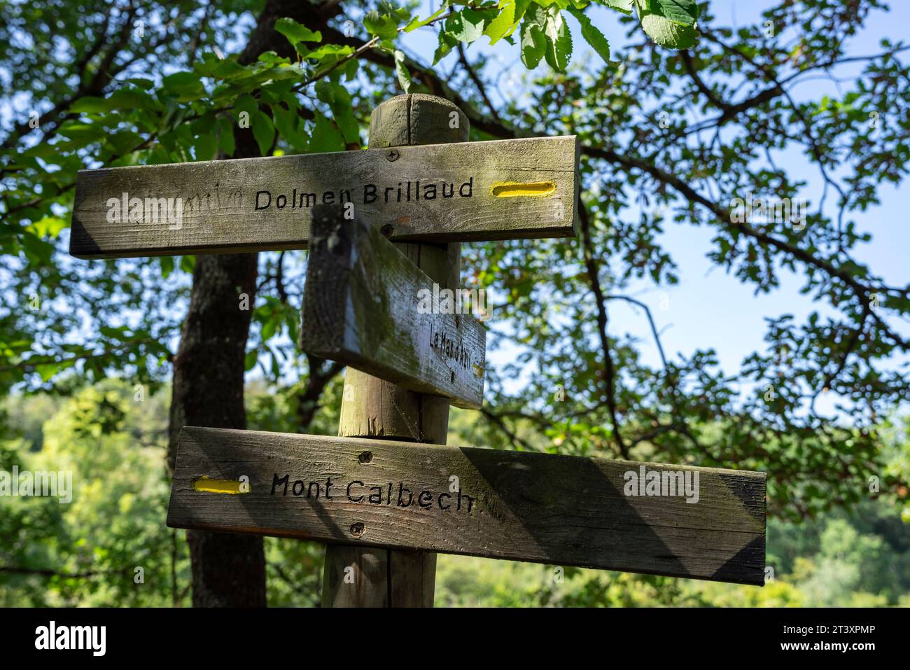 Parco naturale regionale Ariège Pyrenees, massiccio dell'Arize, Repubblica francese, Europa. Foto Stock