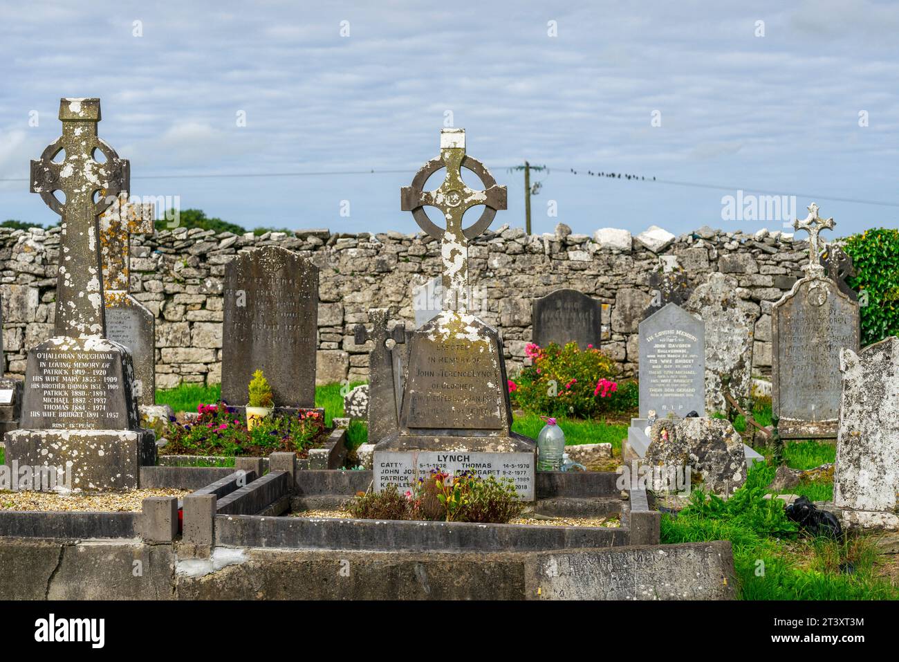 Croci celtiche nel cimitero, Kilfenora Medieval Cathedral (Saint Fachtnanrsquo),The Burren, County Clare, Irlanda, Regno Unito. Foto Stock