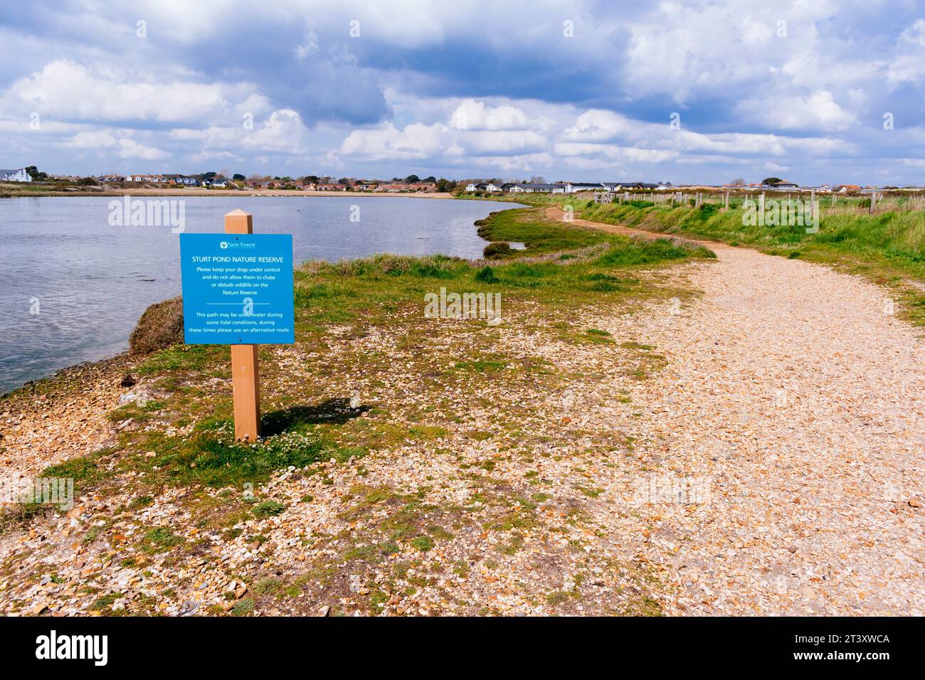 Sentiero vicino a Sturt Pond. Milford on Sea, New Forest, Hampshire, Inghilterra, Regno Unito, Europa Foto Stock