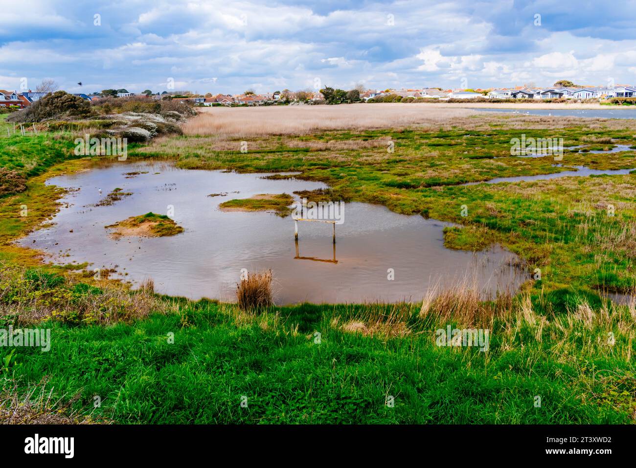 Lo Sturt Pond è una riserva naturale locale di 10,9 ettari situata a Milford on Sea nell'Hampshire. È di proprietà e gestito dal Milford on Sea Parish Council. Milford On Foto Stock