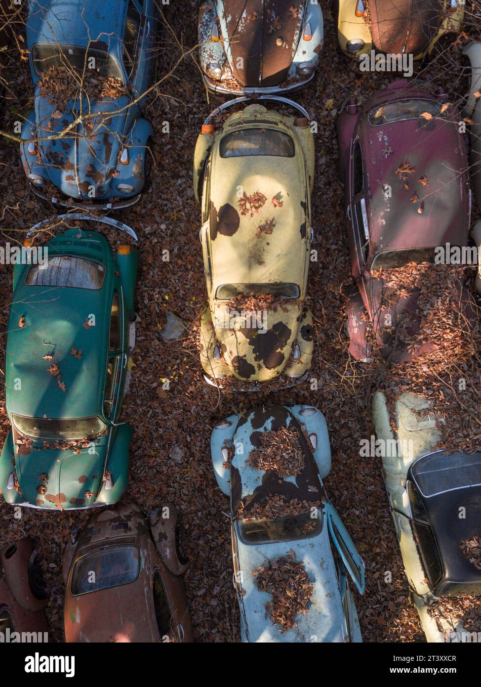 Auto d'epoca PENNSLYVANIA QUESTO MISTERIOSO cimitero è pieno di oltre DUECENTO auto Volkswagen risalenti a oltre mezzo secolo, tra cui l'iconica barbabietola Foto Stock