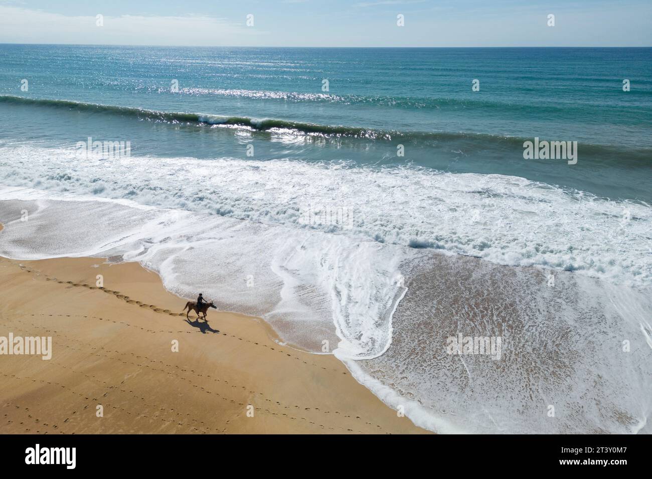 Equitazione per un cavaliere solitario su una spiaggia delle Landes (Sea, Tarnos (40220), Landes (40), Nouvelle-Aquitaine, Francia). Foto Stock