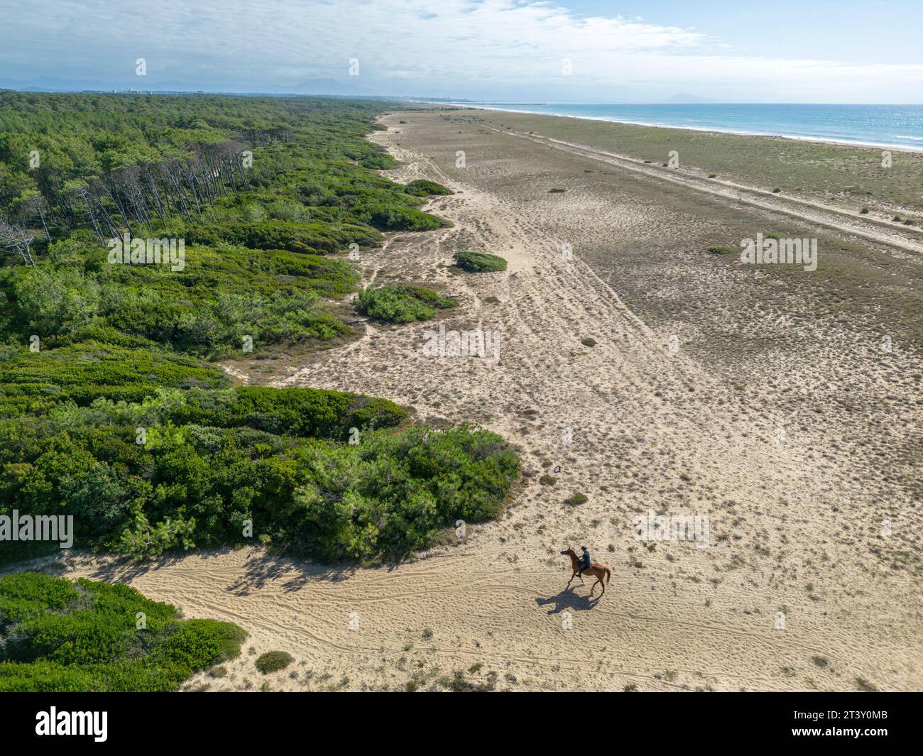 Equitazione per un cavaliere solitario su una spiaggia delle Landes (Sea, Tarnos (40220), Landes (40), Nouvelle-Aquitaine, Francia). Foto Stock