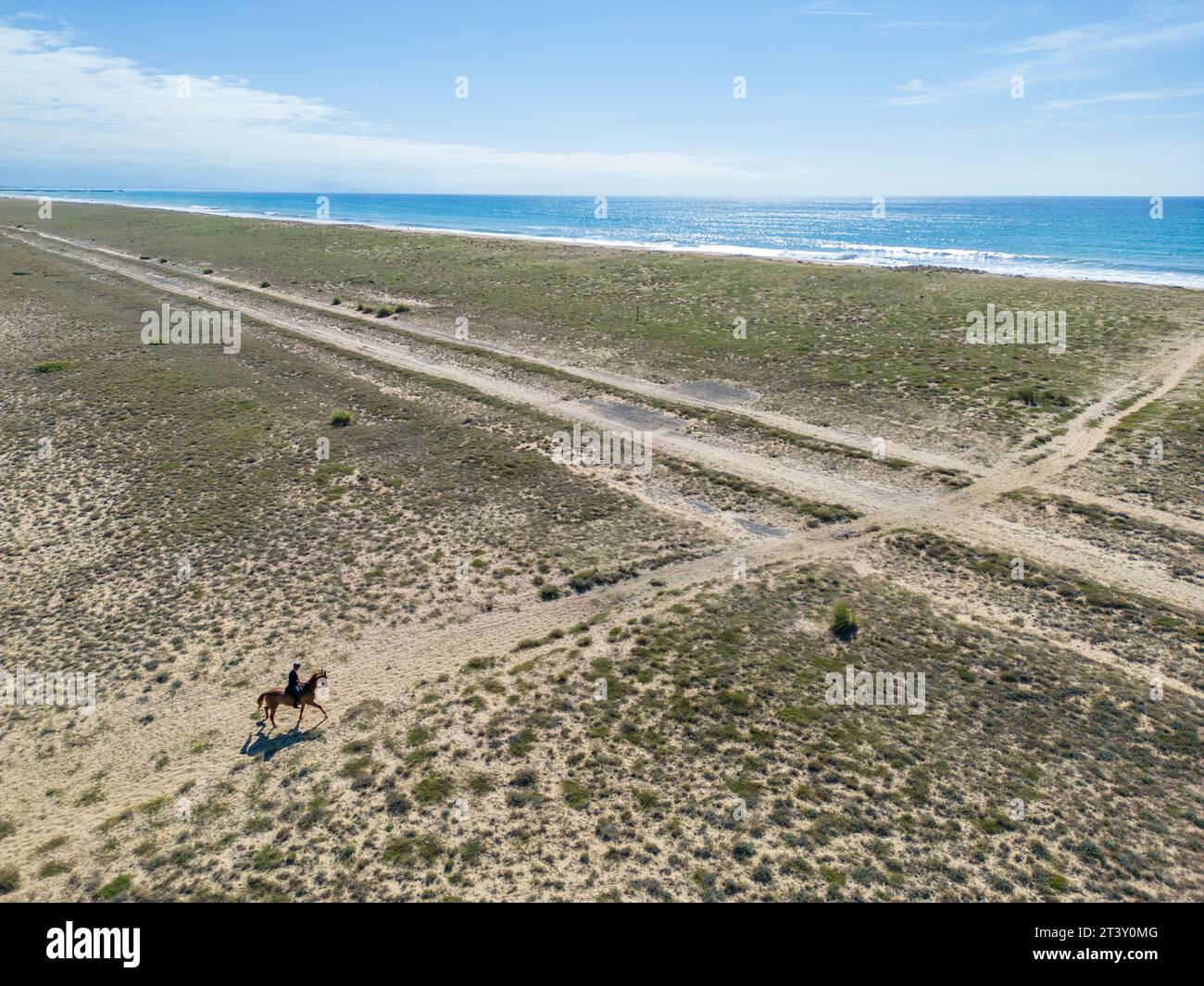 Equitazione per un cavaliere solitario su una spiaggia delle Landes (Sea, Tarnos (40220), Landes (40), Nouvelle-Aquitaine, Francia). Foto Stock