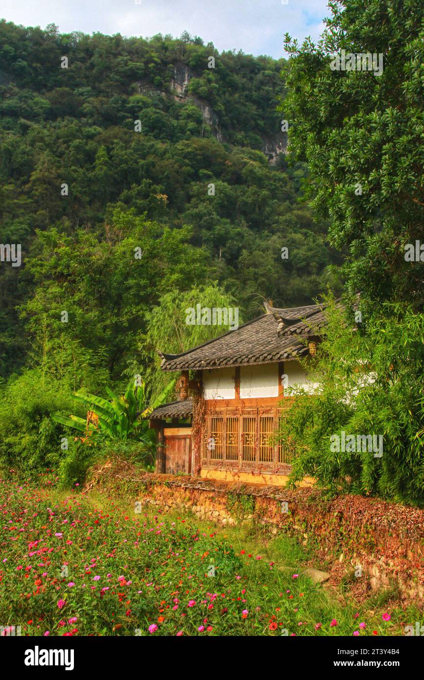 Scoprite la serenità in una piccola casa affascinante immersa nel verde abbraccio di una lussureggiante foresta cinese Foto Stock