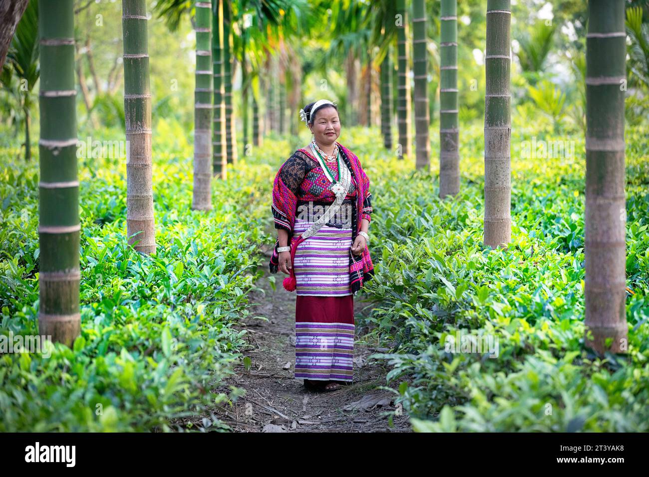 Donna della tribù Adi in abiti tradizionali in posa nella piantagione di tè, circondata da palme, Assam nel nord-est dell'India Foto Stock