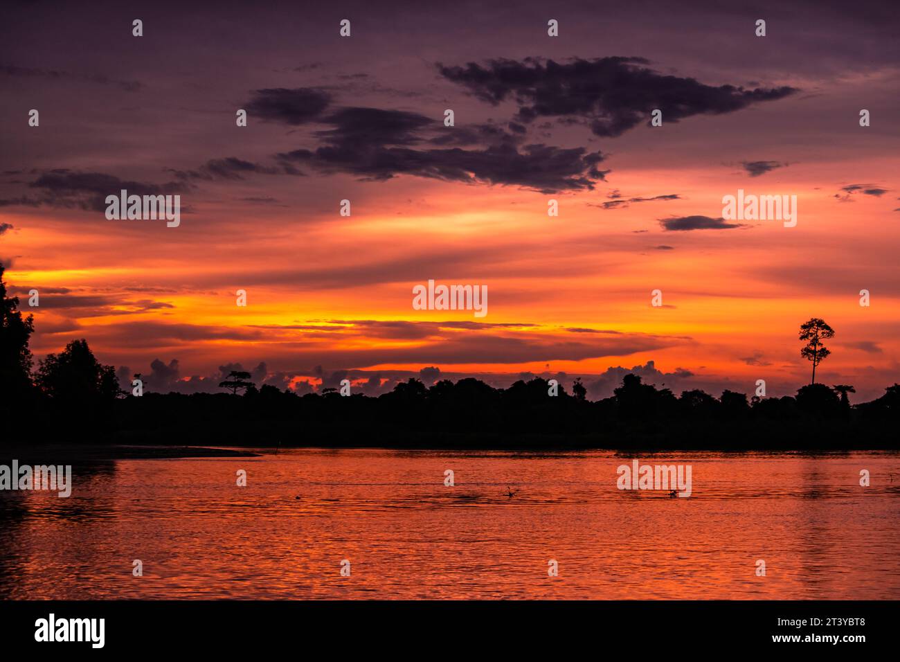 Incredibile vista panoramica del fiume tropicale e della foresta pluviale al tramonto Foto Stock