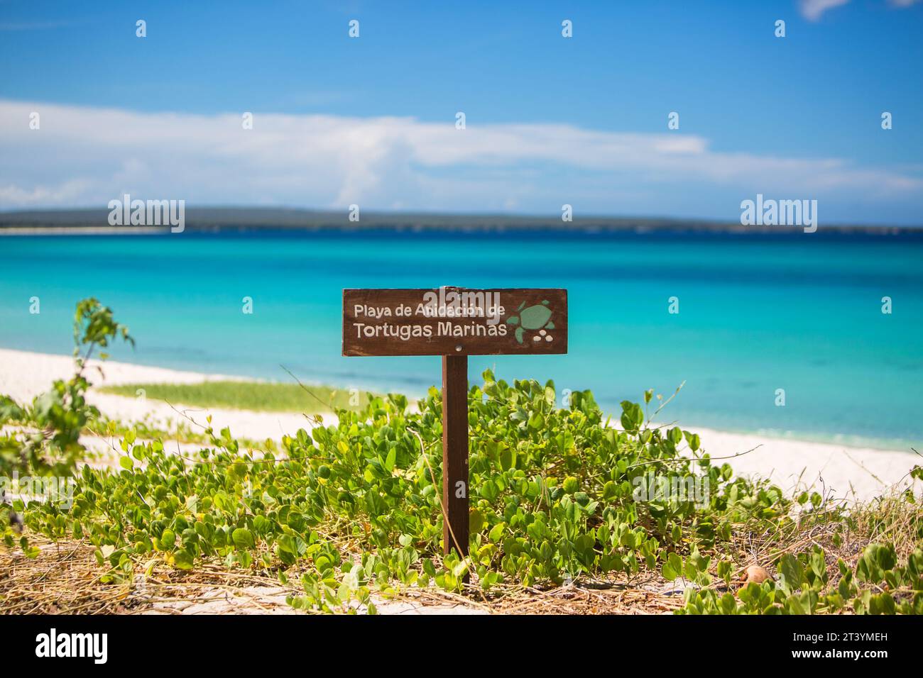 Uova di tartaruga. Il luogo dove le tartarughe depongono le uova. Segno del puntatore in spagnolo. Mar dei Caraibi, Repubblica Dominicana, Barahona Bahia de las Aguilas Foto Stock