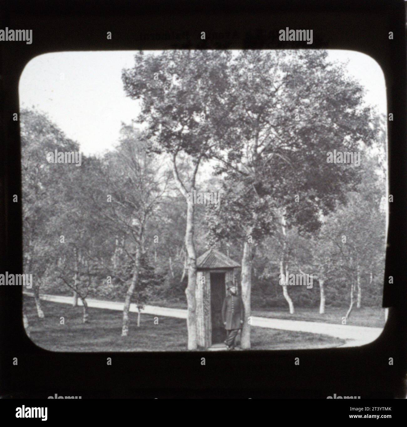 Vista in The Avenue al Castello di Balmoral intorno al 1860, di George Washington Wilson (1823-1893) Foto Stock