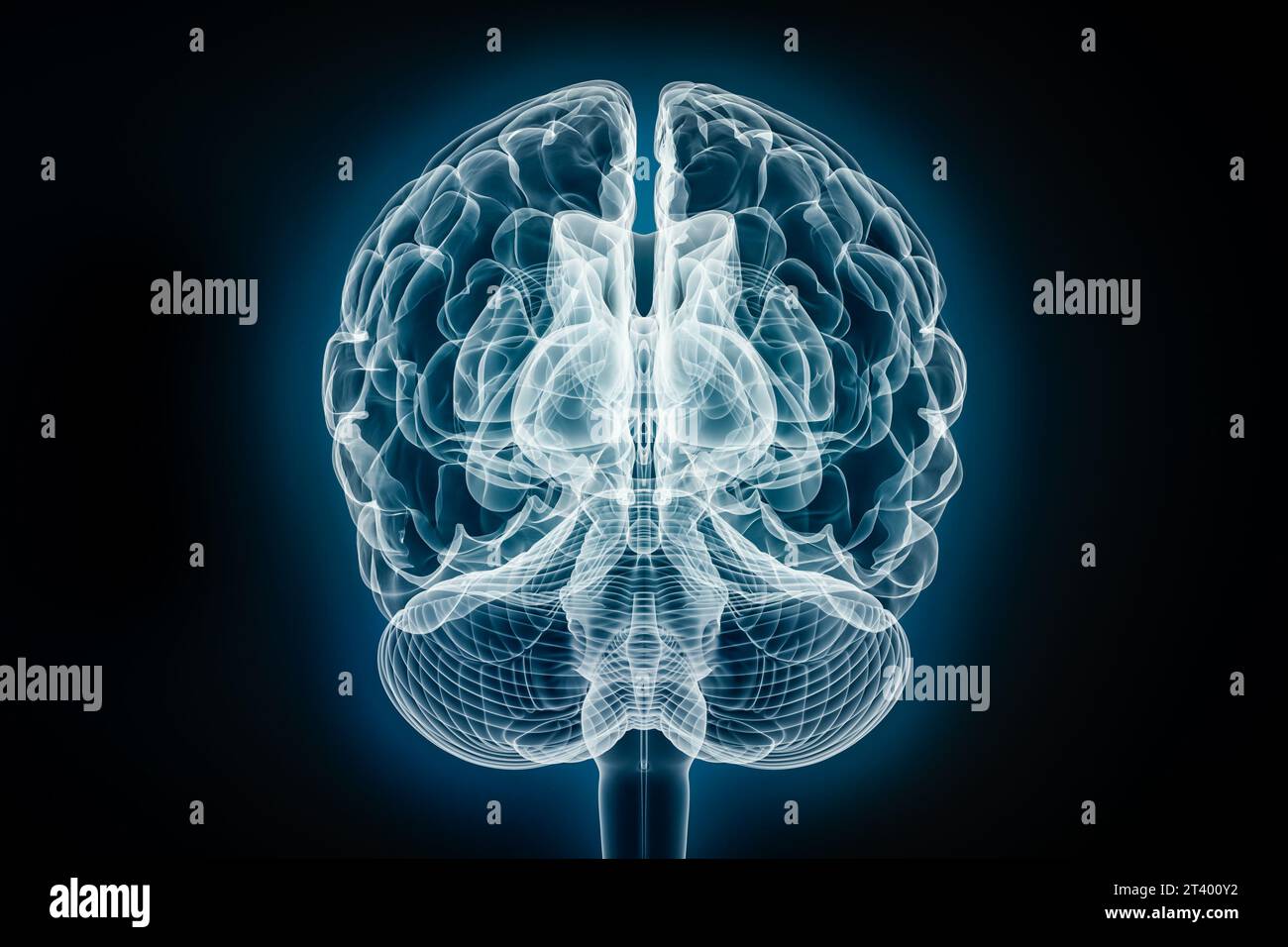 Vista frontale o posteriore a raggi X dell'illustrazione di rendering 3D cerebrale completo. Anatomia del corpo umano e del sistema nervoso, medico, sanitario, biologia, scienza Foto Stock
